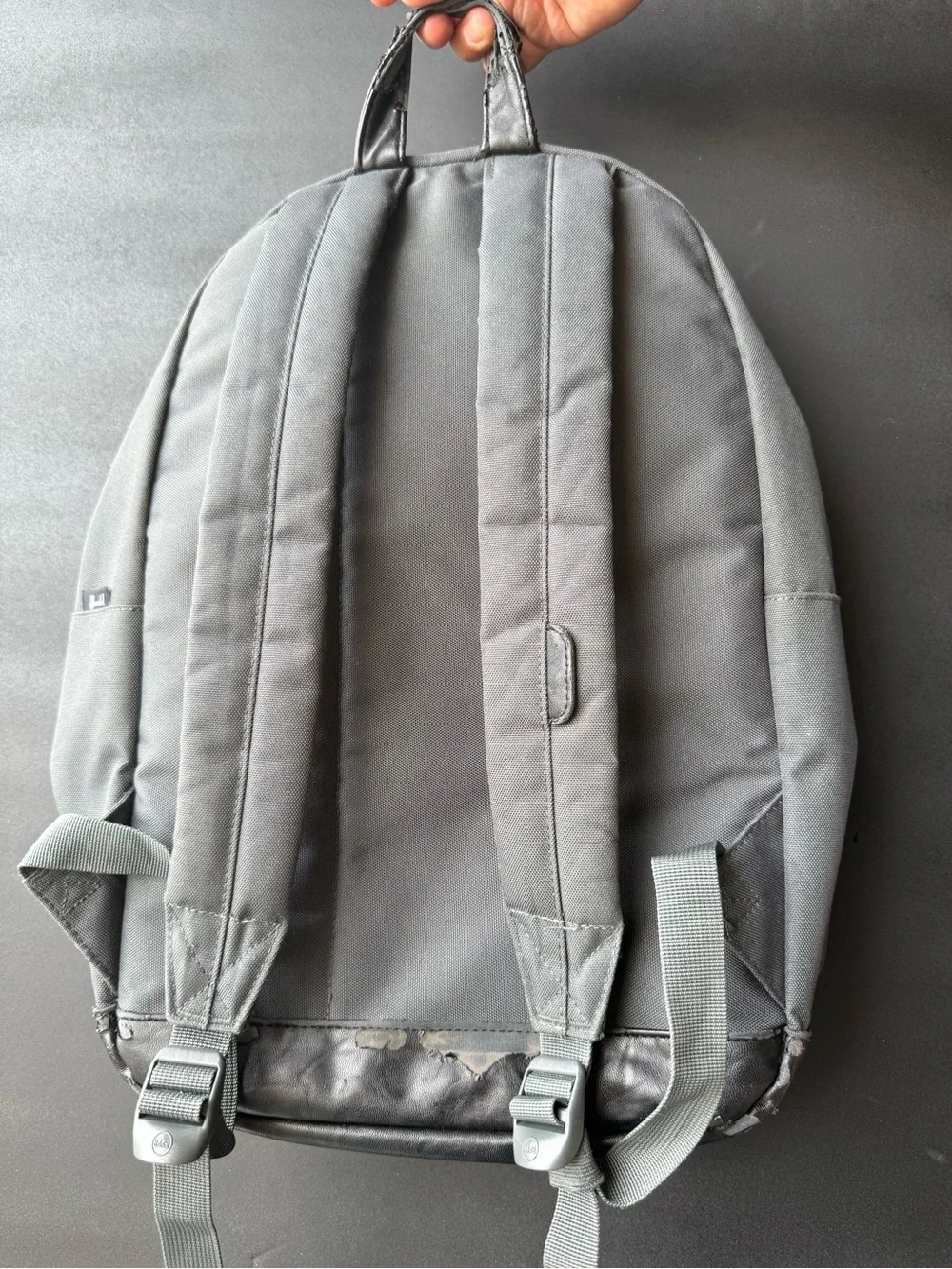 Herschel Supply Company sturdy herschel